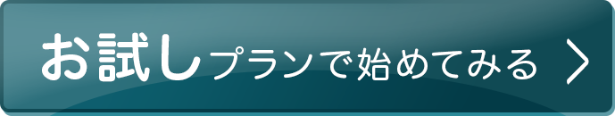通常プランで始めてみる