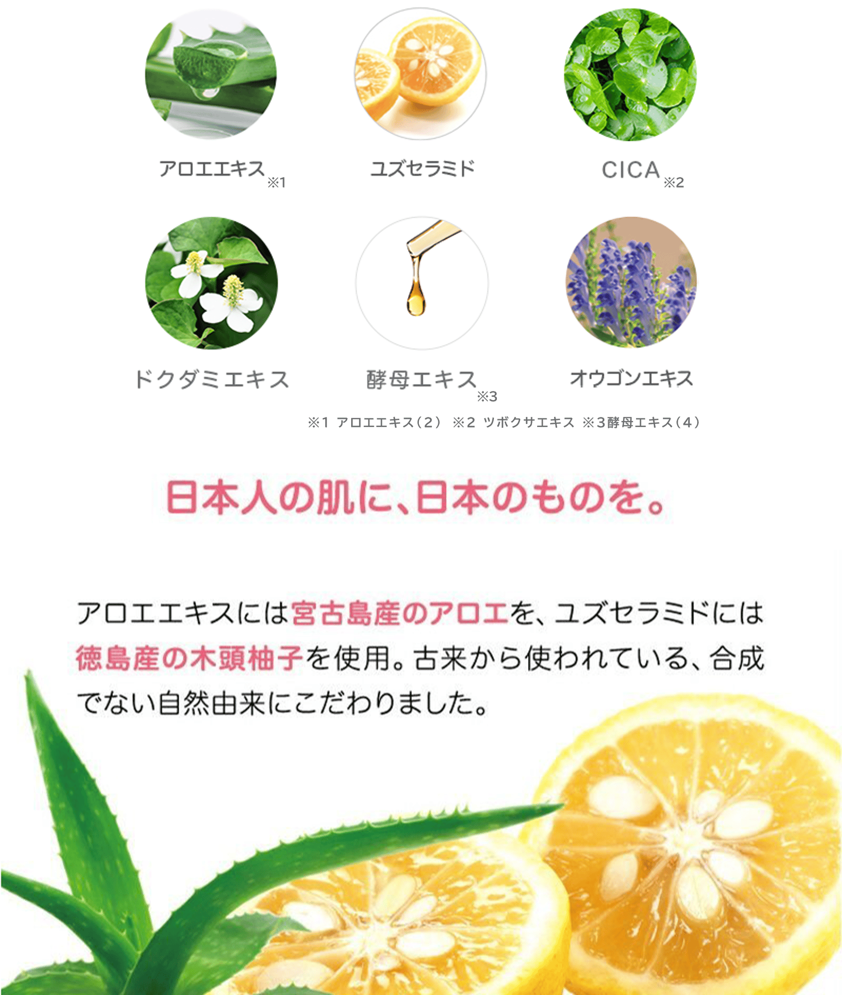 products_text_img02-s033